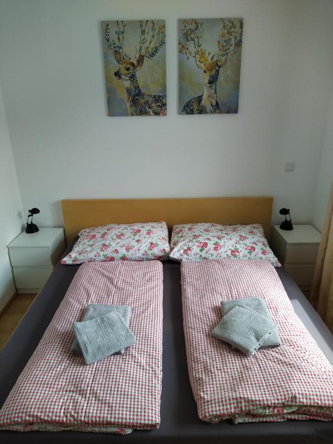 Appartment Dutzler 圣马丁安提奈各布里奇 外观 照片